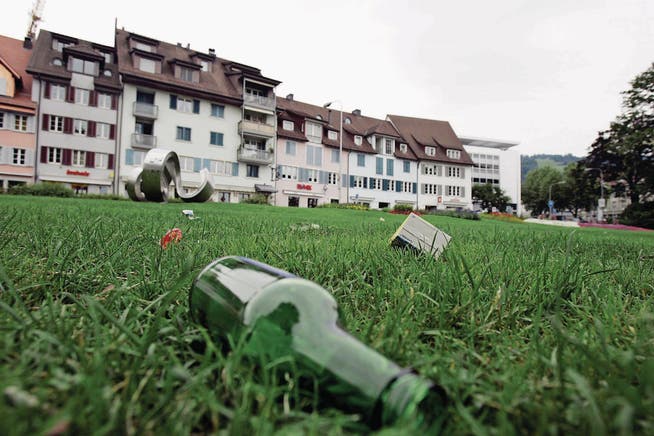 Mit dem neuen Reglement könnte auch der Alkoholkonsum auf der Rössliwiese verboten werden. (Archivbild: Bruno A. Arnold)