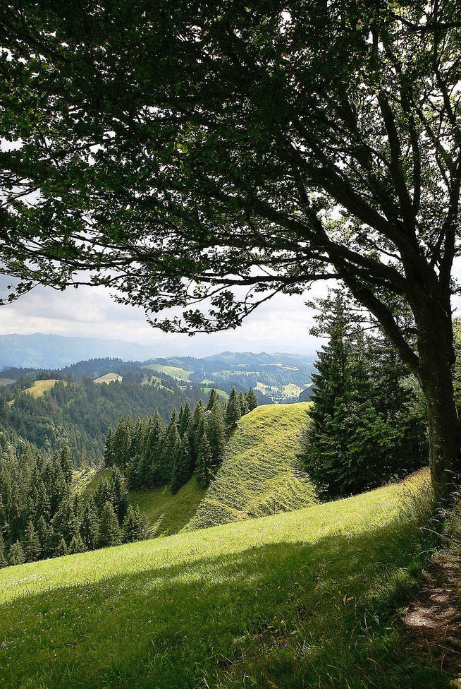 Zum Bundesinventar geschützter Landschaften gehört auch das Napfgebiet. (Bild Manuela Jans)