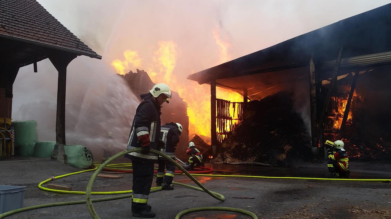 Aufr dem Areal der Sägerei gehen die Feuerwehrleute gegen den Brand vor. (Bild: Dominik Wunderli / Neue LZ)