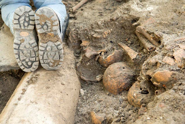 Bei den Ausgrabungen kamen Schädel und Knochen zum Vorschein. (Bild: Alexandra Wey/Keystone (Luzern, 14. August 2017))