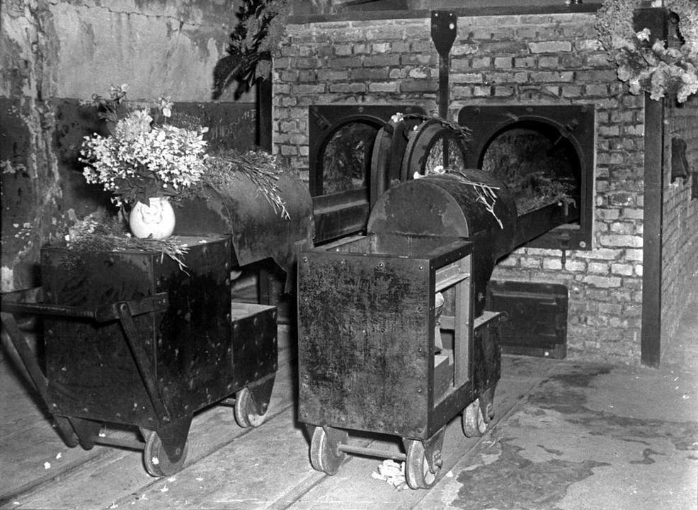 Fünf Krematorien und mehrere Verbrennungsgruben dienten in Auschwitz der raschen Beseitigung der vielen Leichen. Die Vorgaben: Die Öfen mussten zwei Leichen pro Stunde verbrennen können und für den Dauerbetrieb geeignet sein. (Bild: Keystone)