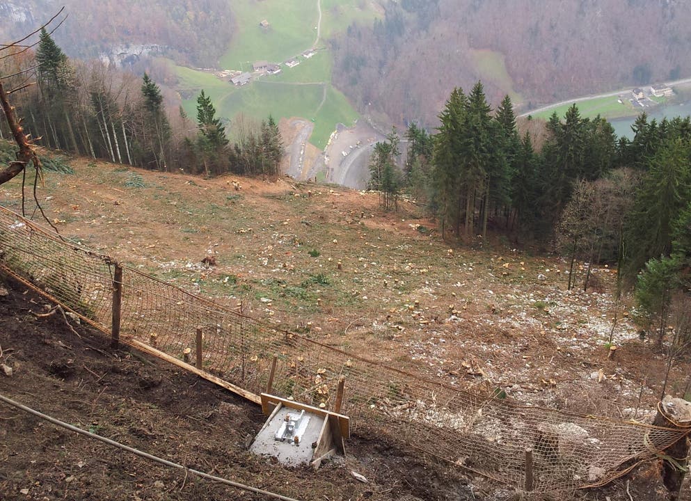20. November: Im Steilhang sind total 1464 Bäume gefällt worden. Hier werden sich die beiden Bahnen kreuzen. (Bild: PD)