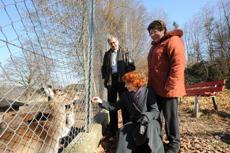 Christian Hilbrand, Anita Weingartner und Verena Wyss (von links) vom Verein Freunde des Hirschparks. (Bild Eveline Bachmann/Neue LZ)
