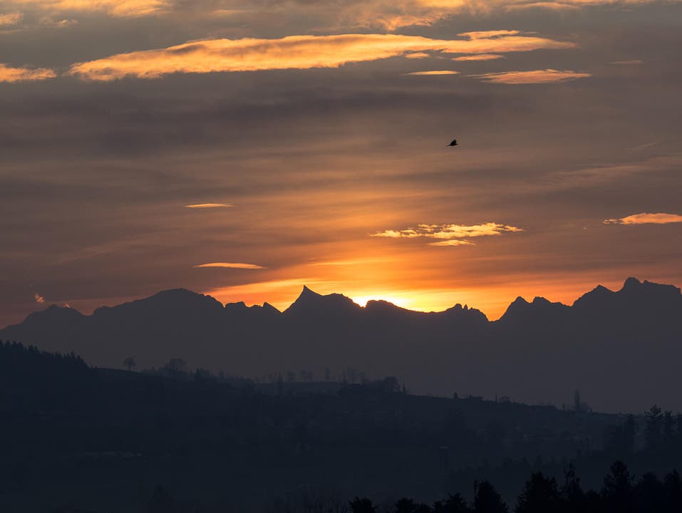 Sonnenaufgang über Grossem Schärhorn und Ober Bauenstock. (Bild: Hubert Zurbuchen)