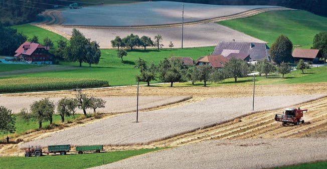 Bauern, die durch Umzonung zu Bauland gekommen sind, müssen beim Verkauf mehr Steuern zahlen als früher. (Bild: Martin Rütschi/KEY (Konolfingen, 7. August 2010))
