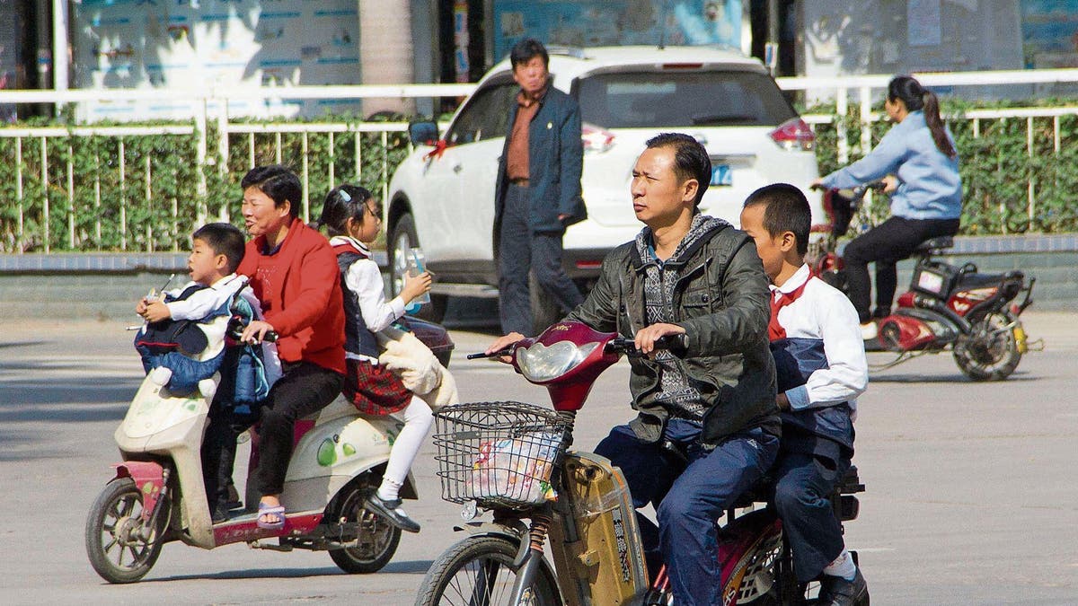 Ich kenne in China jeden Reissack, an dem ein E-Roller vorbeigefahren ist“