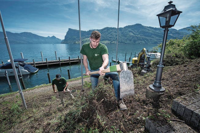 Gärtner Philipp Vogel (vorne) mit einem Mitarbeiter beim Vorbereiten des Terrains für den Rebberg. (Bild: Pius Amrein (Kastanienbaum, 16. Mai 2017))