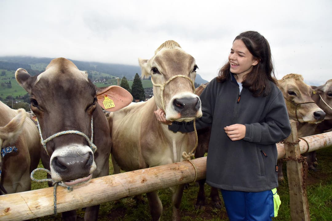 Die Kägiswiler Bauerntochter Janine Frunz hilft ihrem Vater beim Zählen der schönsten Kühe. (Bild: Romano Cuonz)