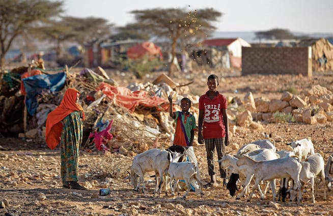 Es ist ein steiniger Weg Afrikas zu mehr Wohlstand: Vertriebene in einem Camp in Somalia. (Bild: Ben Curtis/AP (Qardho, 9. März 2017))
