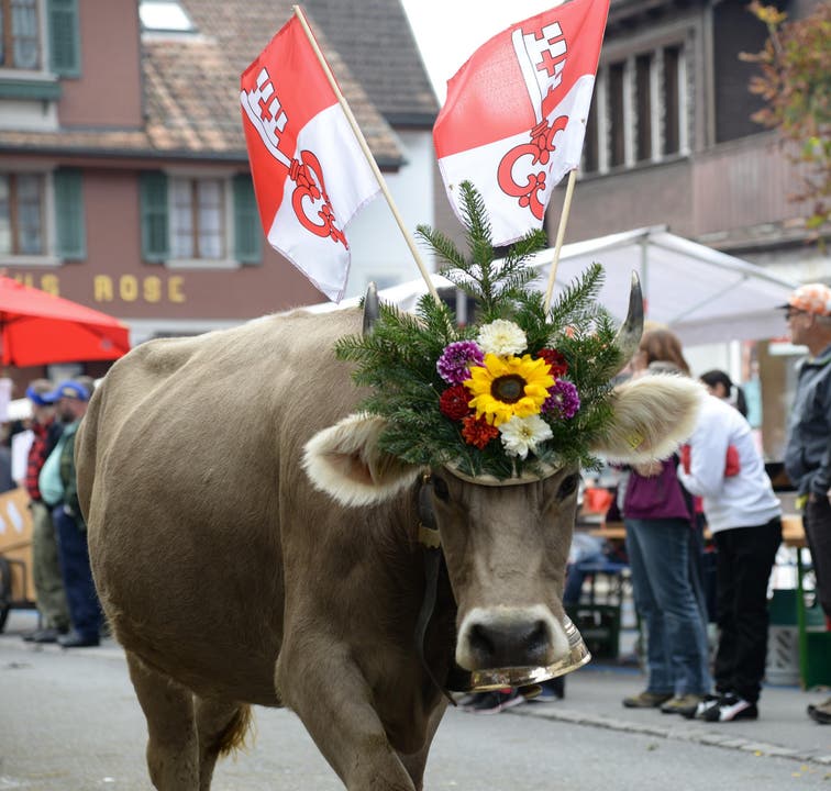 Blumenschmuck für den Abschied von der Alp. (Bild: Robert Hess (Neue OZ))
