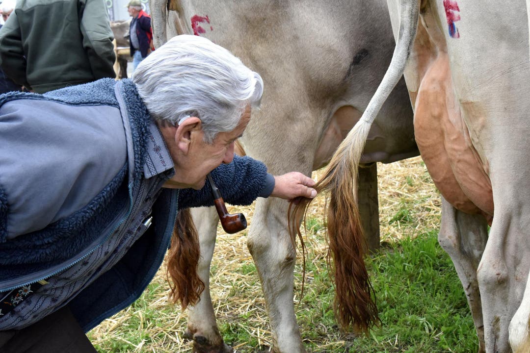 Der 80-jährige Walter Huber vom Hasliberg will schauen, ob die Kühe auch im Robotterzeitalter noch schöne Striche haben. (Bild: Romano Cuonz)