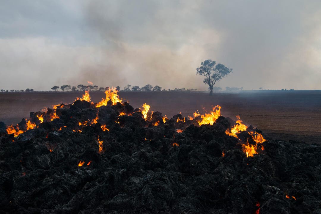 Die Feuerwehr in South Australia warnte angesichts der grossen Trockenheit in der Region vor einer «gefährlichen Situation». (Bild: Keystone)
