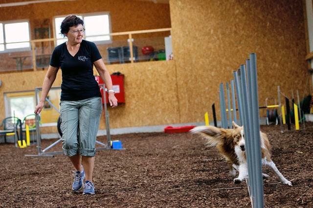 Katharina Zumbühl ermöglicht mit ihrer Halle in Ennetmoos Hundesportlern das Training. (Bild: Corinne Glanzmann / Neue NZ)