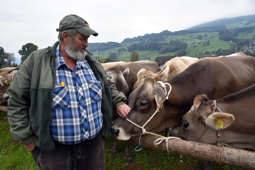 Der Engelberger Milchkontrolleur Kari Langenstein kommt immer gerne auch zur Viehschau in Sarnen. (Bild: Romano Cuonz)
