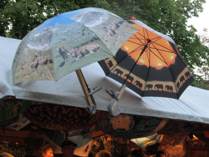 Stand mit schönen Regenschirmen. (Bild: Claudine Germann)