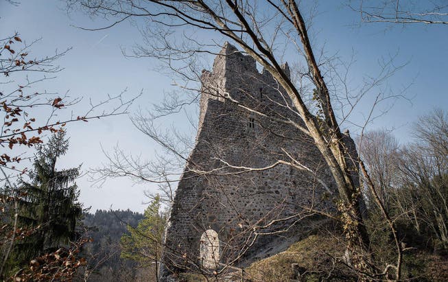 Sie sehe zwar robust aus, sei aber fragil, sagt Denkmalpfleger Michael Niedermann über die Ruine Ramschwag. (Bild: Michel Canonica)