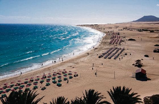 Badestrand an der Kanaren-Insel Fuerteventura, vor deren Küste Spanien nach Öl suchen lassen will. (Bild: fotolia)