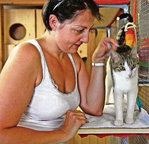 Die Präsidentin des Tierschutzvereins Rheintal, Nicole Rohner, hat immer Zeit für ihre Findlinge.