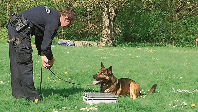 Peter Vetsch stellt eine Prüfungssituation nach. Hund Zen musste jenen Gegenstand anzeigen, in dem Drogen versteckt waren. (Bild: PD)