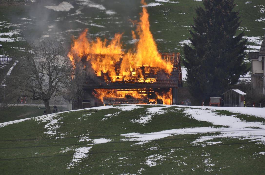 Der Stall brannte ab. (Bild: Peter Meier/Leserbild)