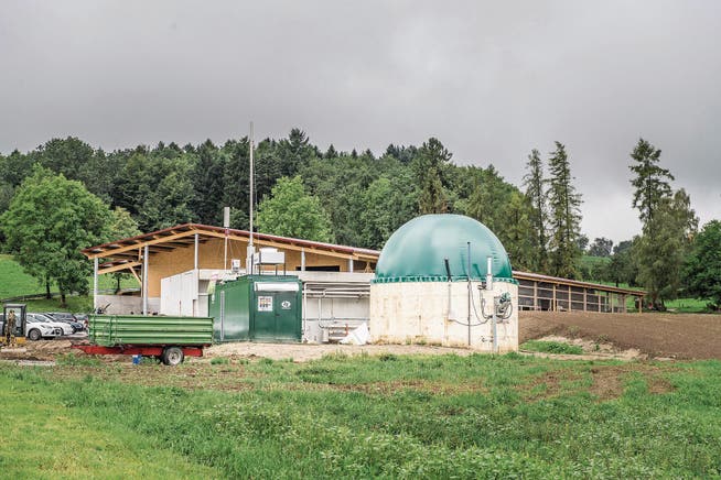 Die Biogasanlage beim Weiler Bommershüsli mit dem Trutenmastbetrieb im Hintergrund. (Bild: Thi My Lien Nguyen)