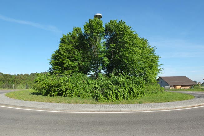 Beim Kreisel in Tübach wurden gar drei Bäume gefällt. (Bild: Kapo SG)