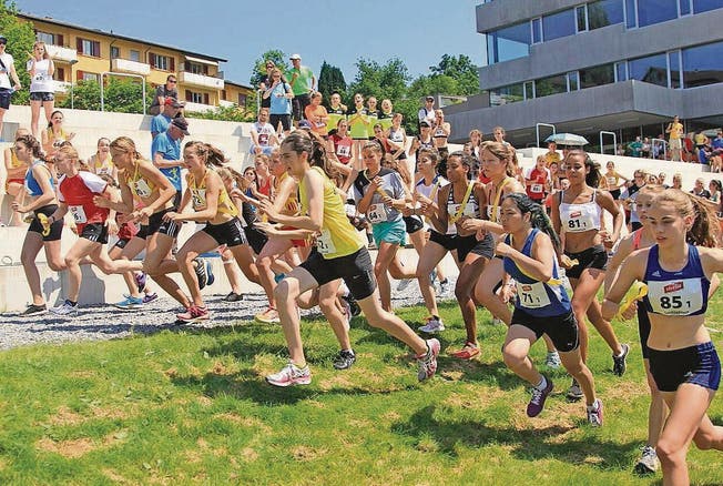 Über 1000 junge Athletinnen und Athleten reisen für den Schweizerischen Schulsporttag ins Rheintal. (Bild: pd)