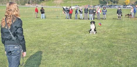 Die Disziplin Unterordnung bildete einen Prüfungsteil beim Hundesport Hirschensprung in Rüthi. (Bild: rz)