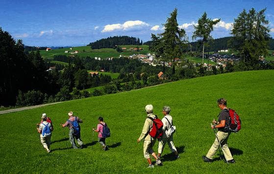 Gemächlichen Schrittes bewältigen die Seniorenwanderer den Abstieg nach Oberegg. (Bild: pd)
