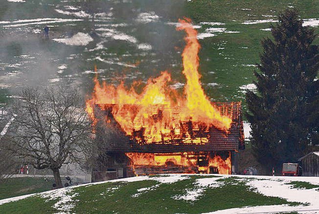 Der brennende Stall gestern nachmittag in Herisau. (Bild: Leserbild: Peter Meier)