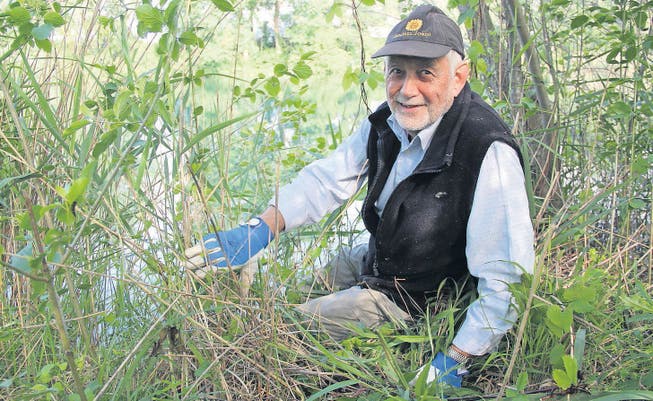Paul Lüchinger leitet die Gruppe Natur 60+. Er wünscht sich, dass sich die Bevölkerung mehr dafür einsetzt, einheimische Pflanzen zu schützen. (Bilder: Seraina Hess)