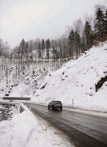 Der Wald oberhalb der Staatsstrasse soll verhindern, dass sich Schnee loslöst. An dieser Stelle sind deshalb keine zusätzlichen Lawinenverbauungen nötig. (Bild: Olivia Hug)