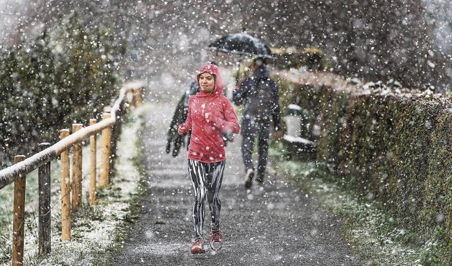 Das Schneetreiben hält diese Frau auf Drei Weiern in St. Gallen nicht vom Laufen ab. (Bild: Michel Canonica)