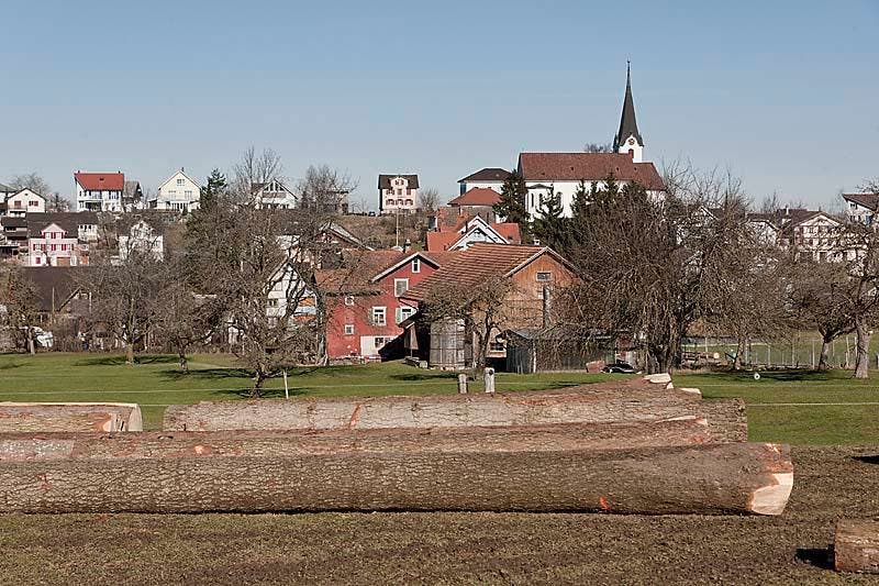 Bichwil, Oberuzwil (Bild: Marcel Steiner)