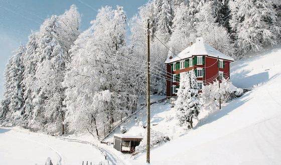 Winter in St. Gallen  St.Galler Tagblatt