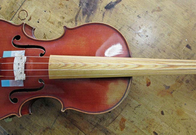 Ein Griffbrett aus verdichteter Fichte auf einem Instrument des französischen Geigenbauers Charles Brugère. (Bild: Otto Kurmann)