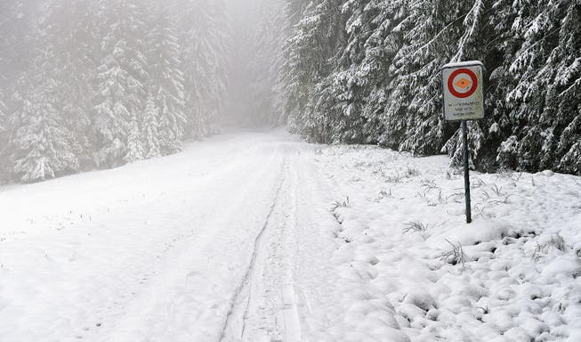 Sobald wieder genügend Schnee liegt und die gefallenen Bäume von Sturmtief Burglind geräumt sind, sollte die Loipe zur Alp Wissboden wieder gespurt werden können. (Bild: PD)