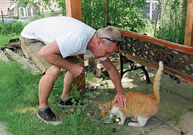 Hungrig ist sie: Diese Katze und eine weitere wurden vom fluchtartig verschwundenen Besitzer zurückgelassen. Christoph Schwabe bringt sie nach Nesslau ins Tierheim, wo sie vorübergehend umsorgt werden. (Bild: Martina Signer)