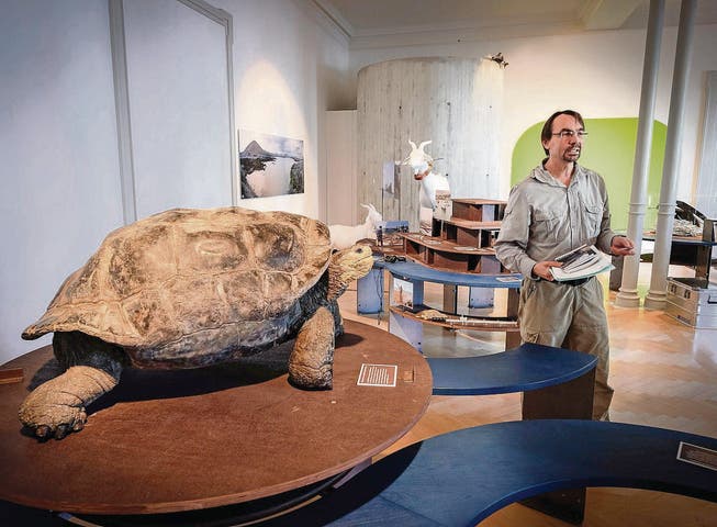 Galápagos im Naturmuseum: Direktor Toni Bürgin in Guide-Montur mit Riesenschildkröte, quasi dem Wappentier der Galápagos-Inseln. (Bild: Ralph Ribi)