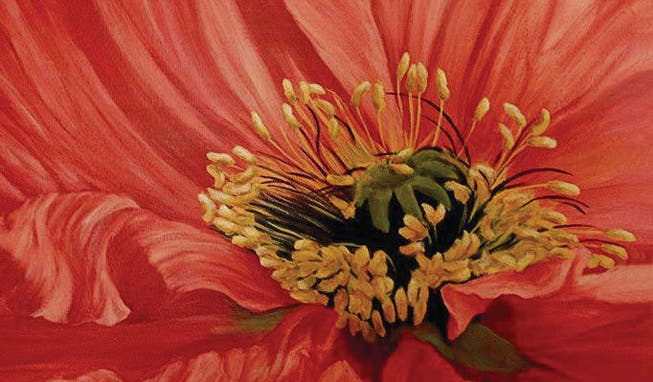 Der Blütenstand einer Mohnblume in Acryltechnik. (Bild: pd)