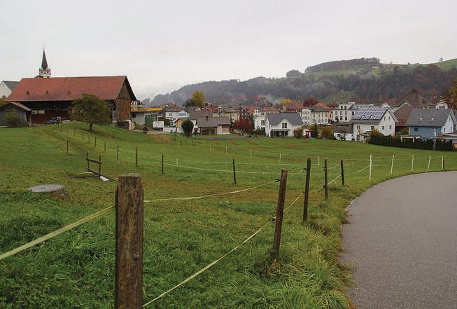 Die Brauereiwiese, auf der vor wenigen Wochen die Viehschau stattfand, soll möglichst bald via Bergstrasse (rechts) erschlossen werden. (Bilder: Martina Signer)