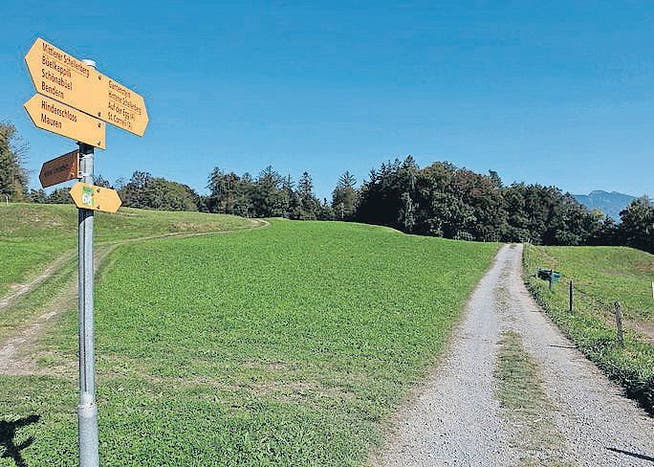 Wird bald als Teil des Jakobswegs gekennzeichnet: Der Weg in Richtung Gantenstein in Schellenberg. (Bild: Elma Korac)