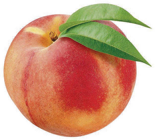 Peach. Fruit isolated on white. (Bild: (99066369))
