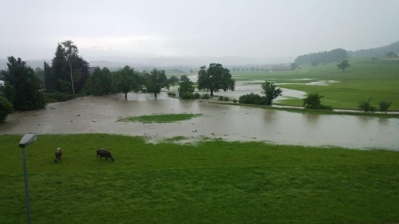 Überflutete Wiese in Zuzwil. (Bild: Ruth Grünenfelder/Leserbild)