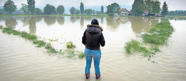Im Rheintal kommt es wie hier im Juni 2013 bei Au immer wieder zu Überschwemmungen. (Bild: Urs Bucher)