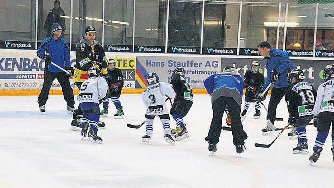 Sie sehen den Puck: Buben und Mädchen lernen von erfahrenen Eishockeyanern in der Eishalle. (Bild: pd)