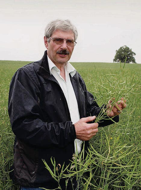 Im Rapsfeld: «Die Thurgauer Bauern sind innovativ», sagt Andreas Binswanger. (Bild: Ralph Ribi)