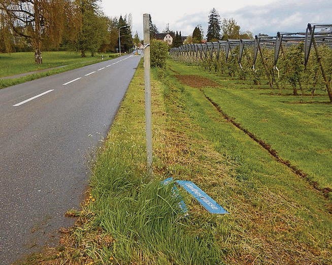 Vandalen haben in Altnau Strassenschilder abgerissen. (Bild: pd/Kapo TG)