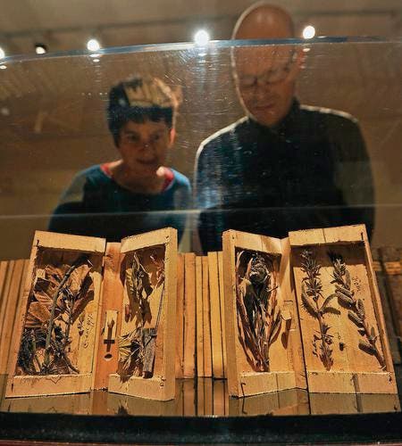 Herbar auf Holz Barbara Richner und Hannes Geisser betrachten die Holzbibliothek. (Bild: Reto Martin)