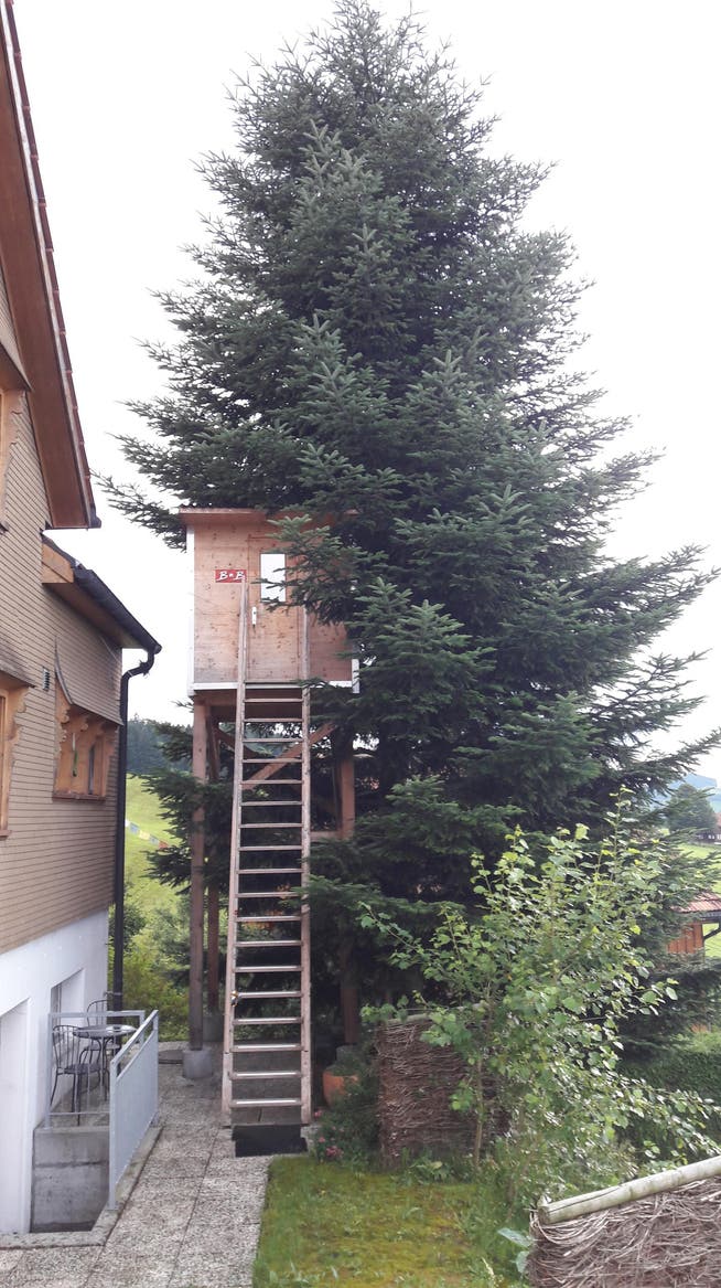 Die Baumhausbox wurde in fertigem Zustand mit einem grossen Kran über das Hausdach gehievt. (Bild: Andy Lehmann)